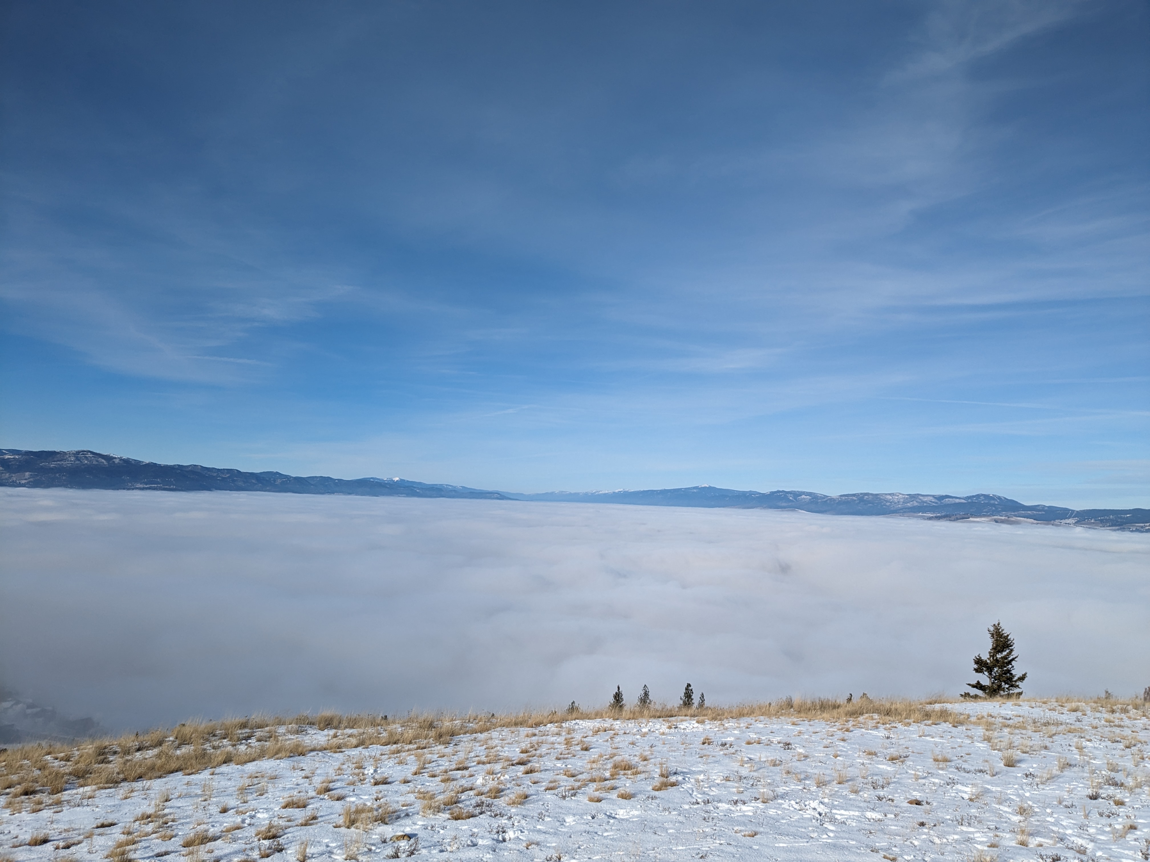 Outfox Consulting — Missoula, MT